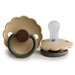 Daisy Silicone Pacifier Acorn Colorblock