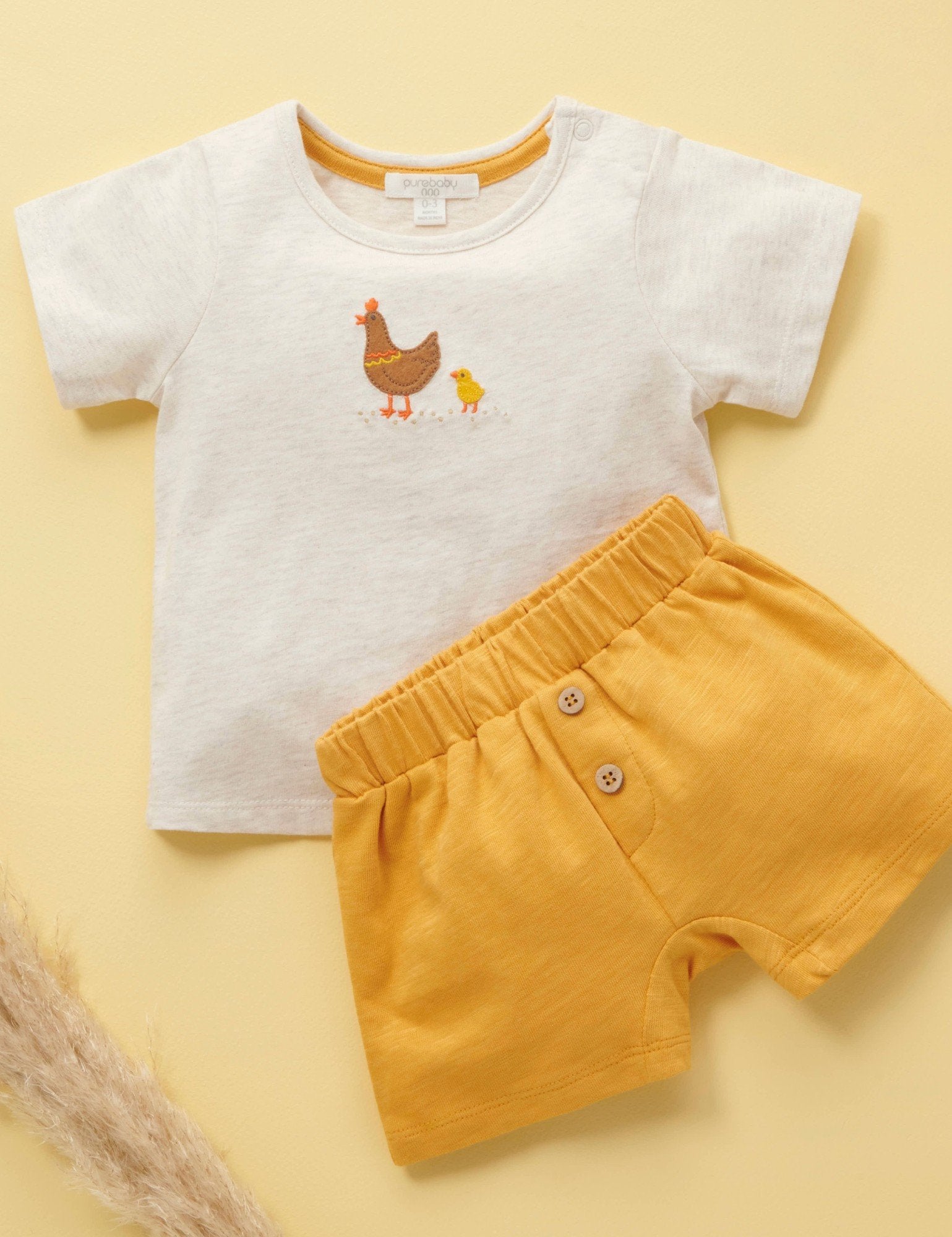 Chook Set