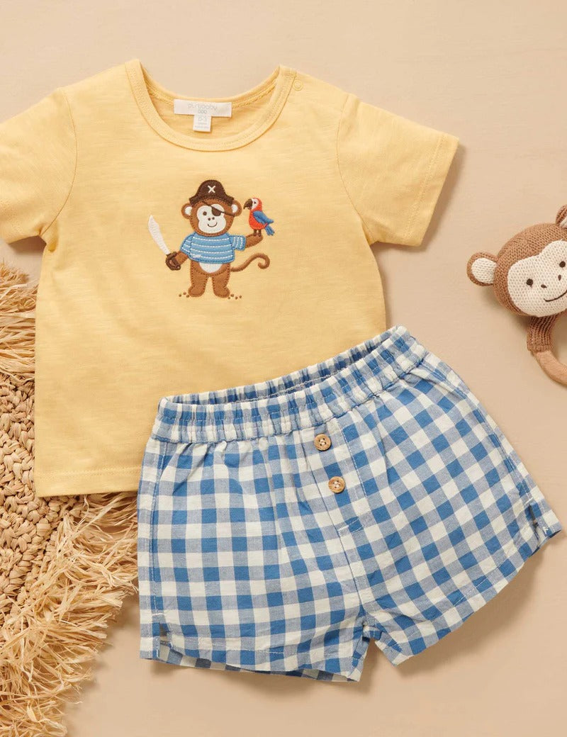 Gingham Tee and Short Set