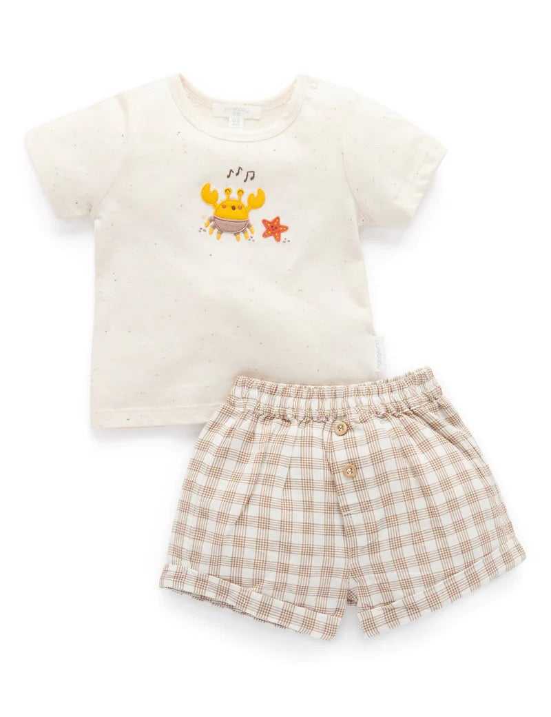 Gingham Tee and Short Set